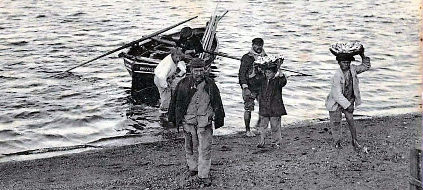 1146- Philippeville - Debarquement du poisson2.jpg